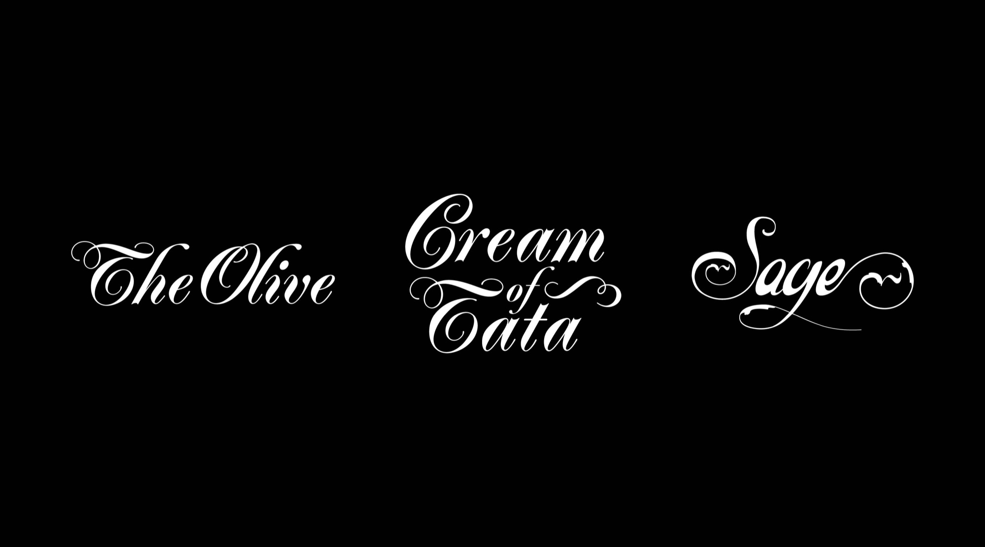 Three copperplate scripts with flourished capitals: The Olive, Cream of Tata, and Sage